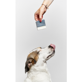 Champú Sólido para Mascotas 100gr.